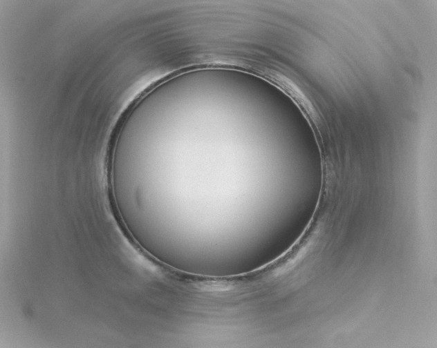 X0000115831141200911271154