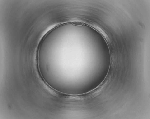 X0000115831142200911271154