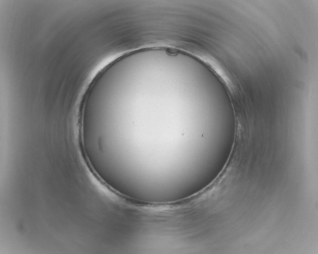 X0000115831143200911271154