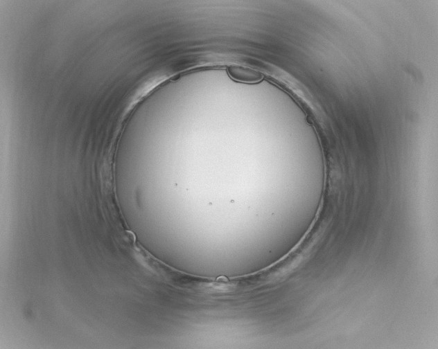 X0000115831145200911271154