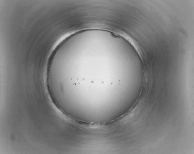 X0000115831147200911271154