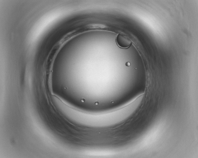 X0000115831151200911271154