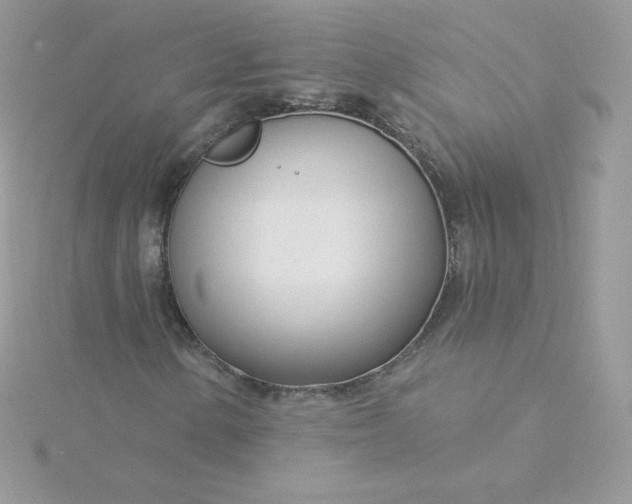 X0000115831154200911271153