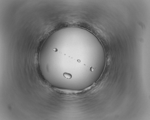 X0000115831156200911271153