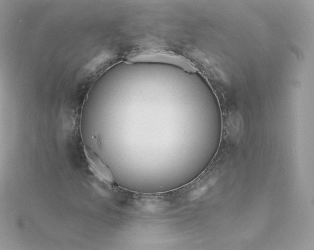 X0000115831157200911271153