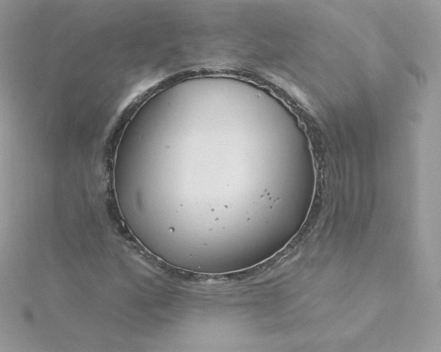 X0000115831160200911271153