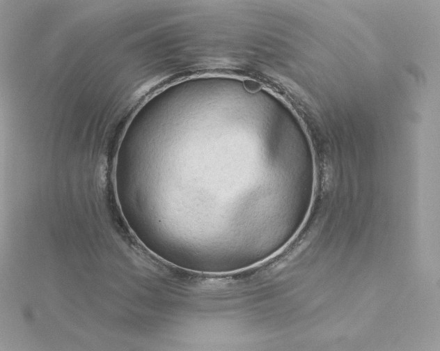 X0000115831161200911271153