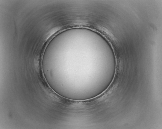 X0000115831162200911271153