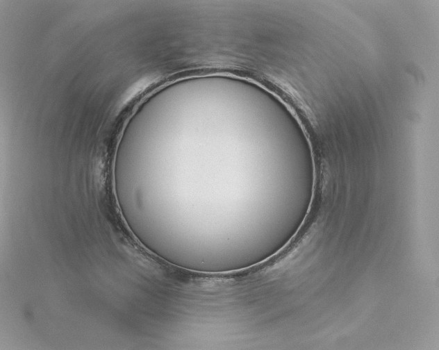 X0000115831163200911271153