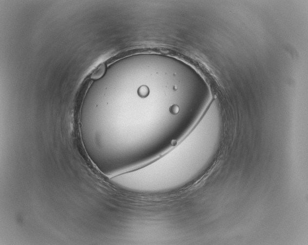 X0000115831165200911271153