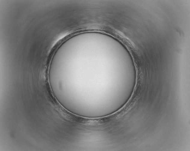 X0000115831166200911271153