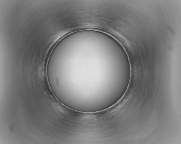 X0000115831170200911271153