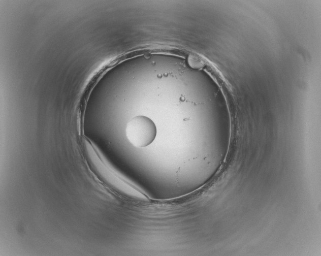 X0000115831171200911271153