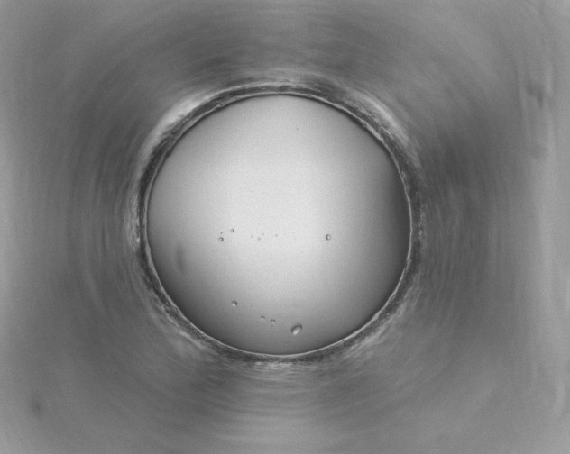 X0000115831172200911271153