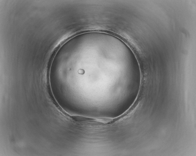 X0000115831173200911271153