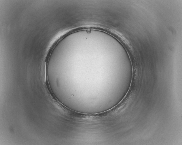 X0000115831175200911271153