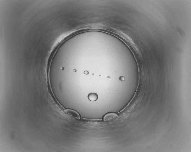 X0000115831176200911271153