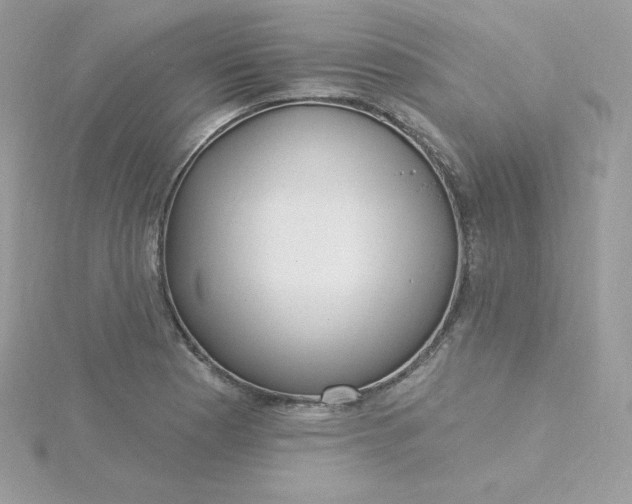 X0000115831177200911271153