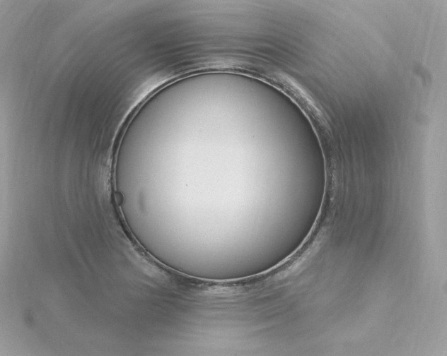 X0000115831178200911271153