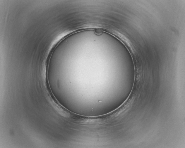 X0000115831179200911271153