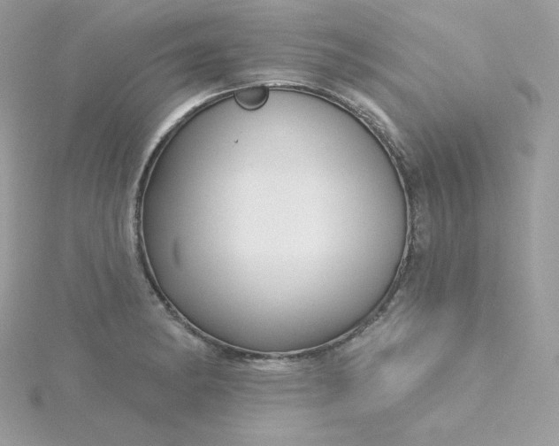 X0000115831182200911271153