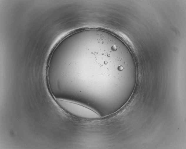 X0000115831183200911271153