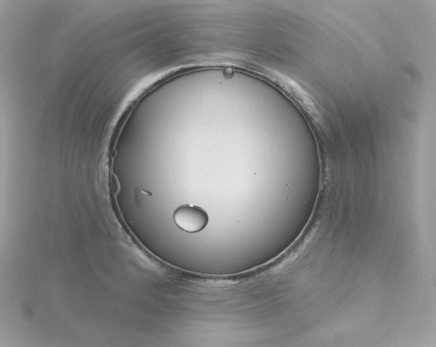 X0000115831184200911271153