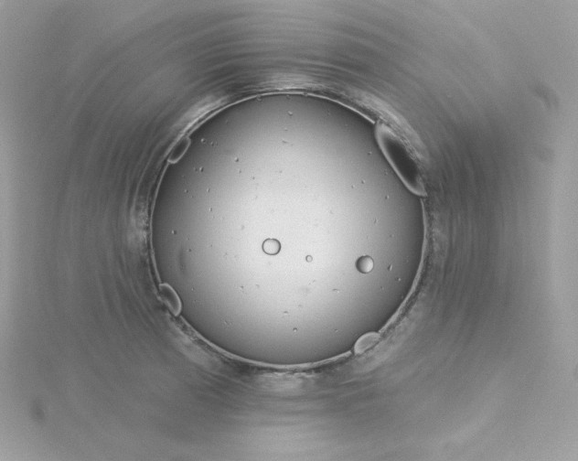 X0000115831185200911271153