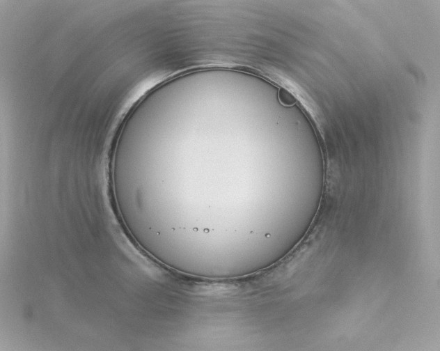 X0000115831187200911271153