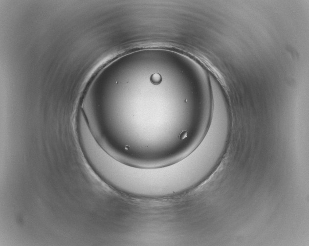 X0000115831189200911271153