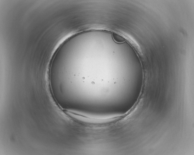 X0000115831190200911271153