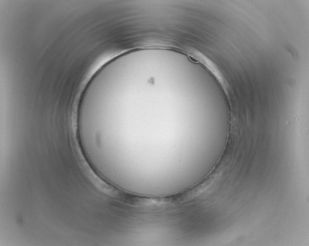 X0000115831195200911271152