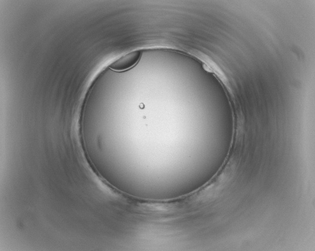 X0000115831197200911271152