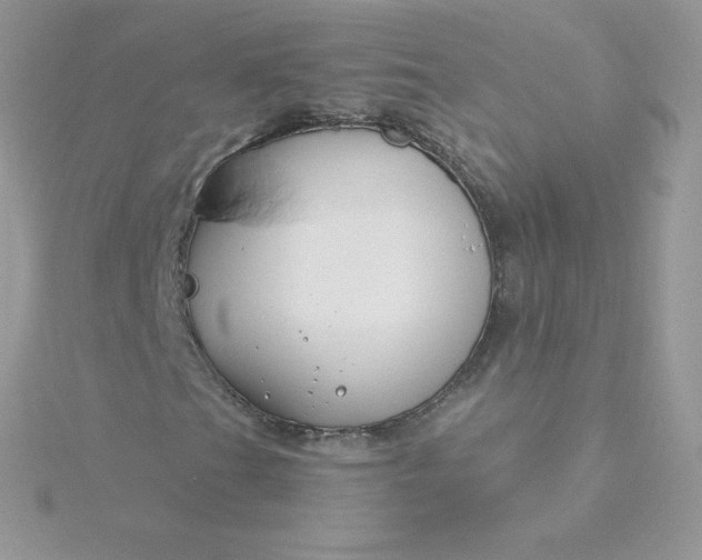 X0000115831201200911271152