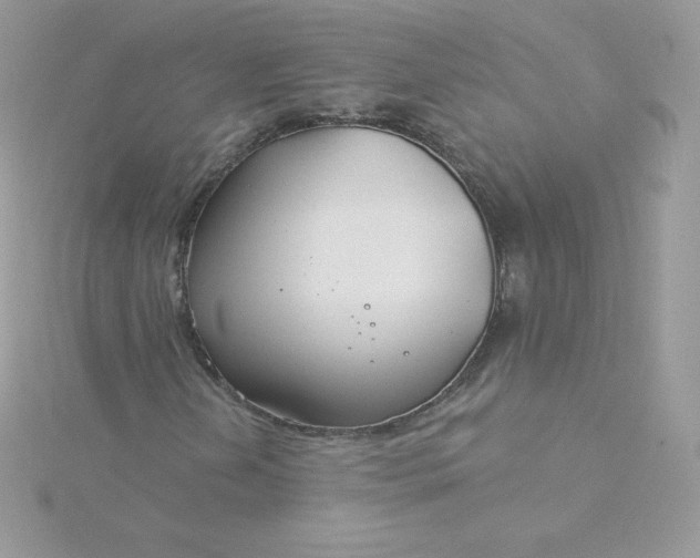 X0000115831202200911271152