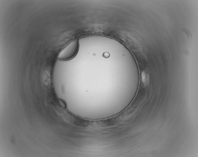 X0000115831203200911271152