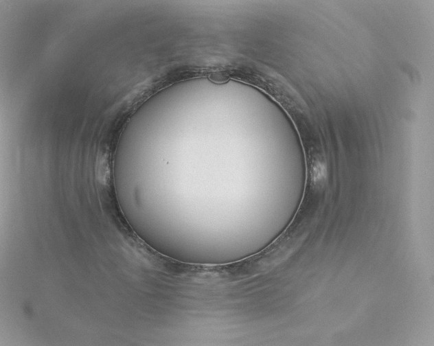 X0000115831204200911271152