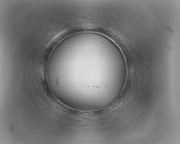 X0000115831205200911271152