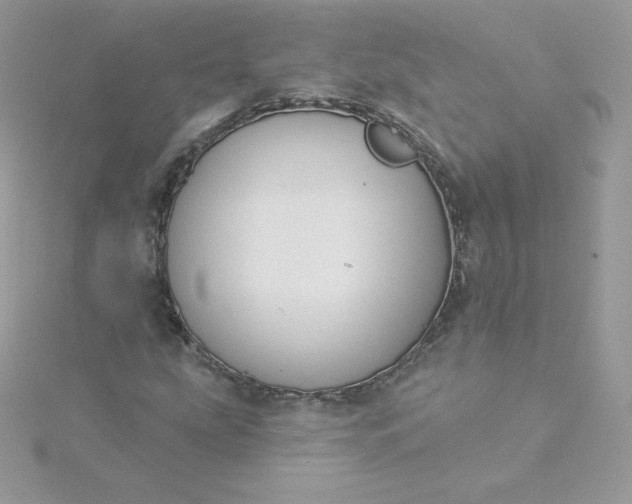 X0000115831207200911271152