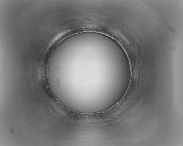 X0000115831208200911271152