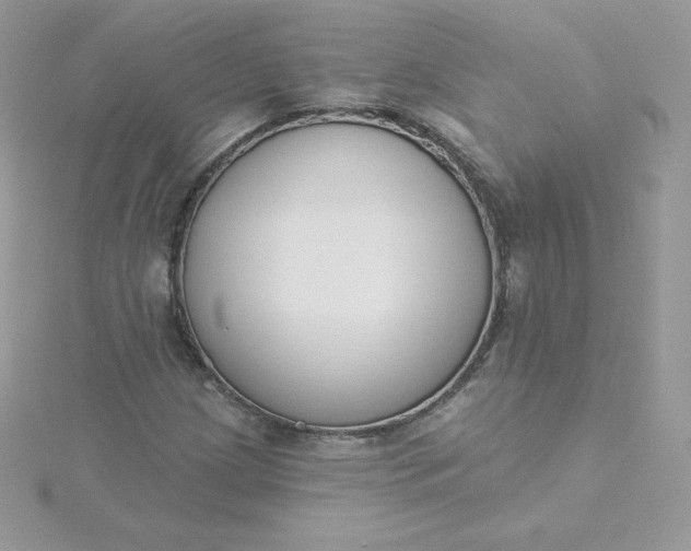 X0000115831209200911271152