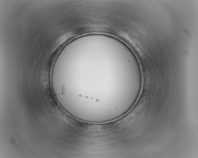 X0000115831211200911271152