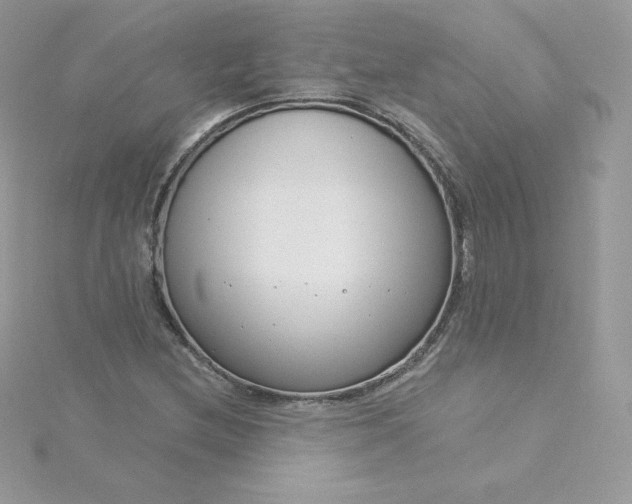 X0000115831212200911271152