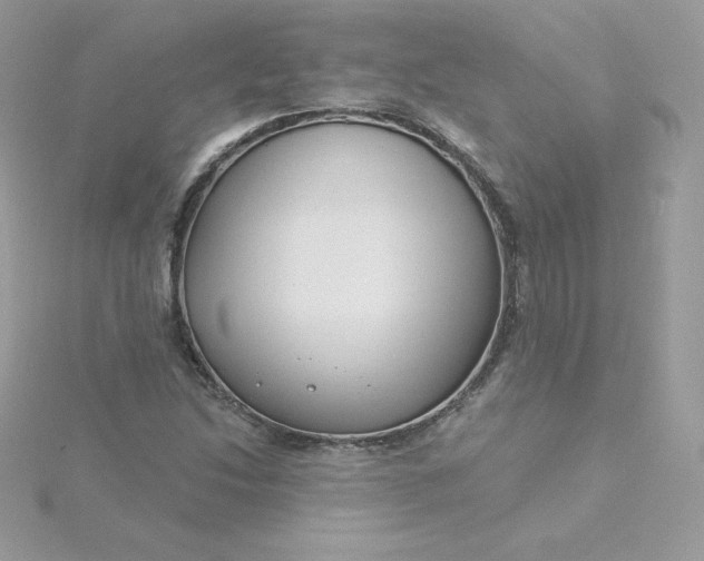 X0000115831214200911271152