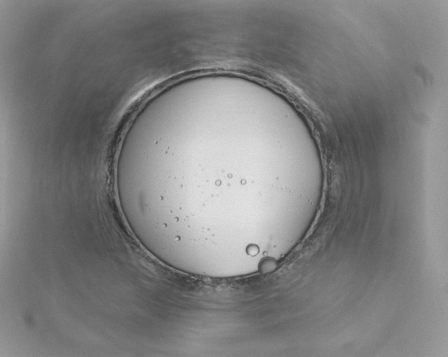 X0000115831215200911271152