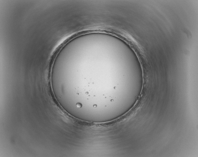 X0000115831216200911271152