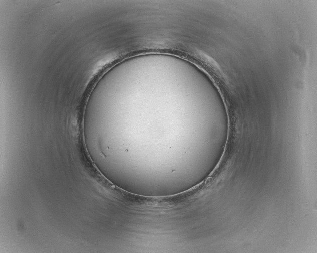 X0000115831218200911271152