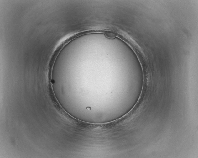 X0000115831222200911271152