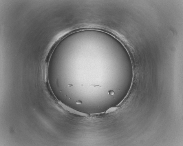 X0000115831223200911271152