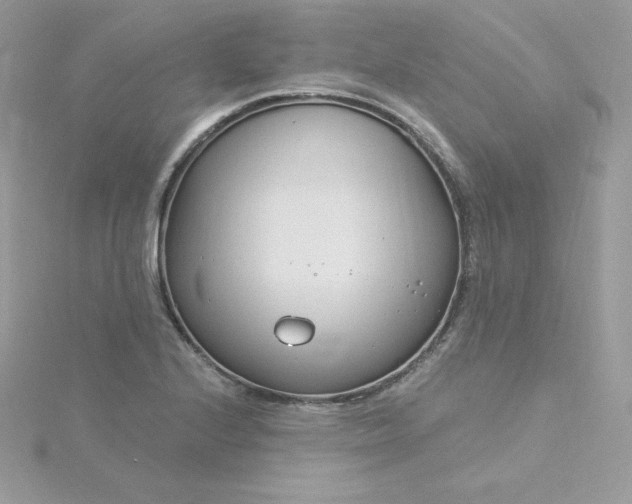 X0000115831224200911271152